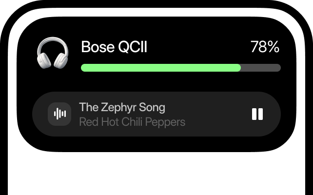 Music and screen time widgets